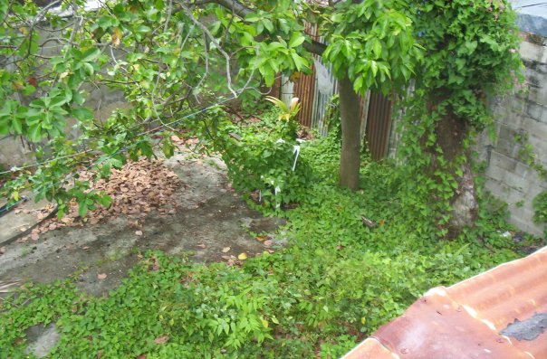 foto05.jpg